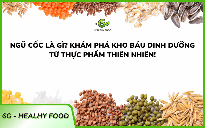 Ngũ cốc là gì? Khám phá kho báu dinh dưỡng từ thực phẩm thiên nhiên!